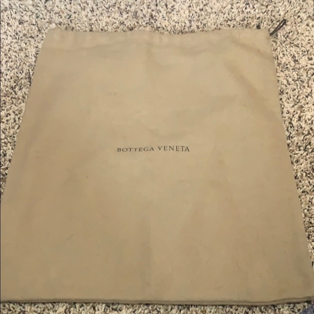Bottega Veneta bag sleeve